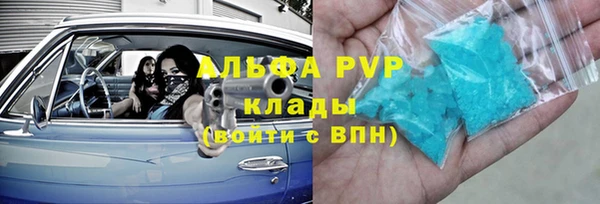 стафф Алексин