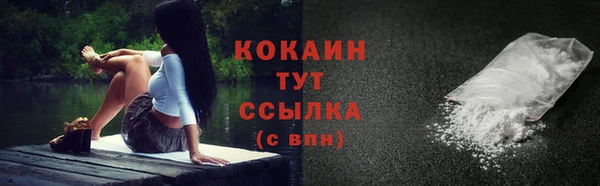 дживик Наволоки