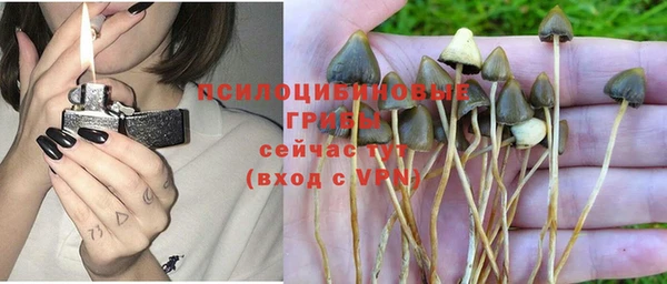стафф Алексин