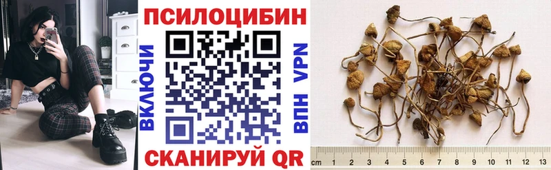 магазин  наркотиков  omg как зайти  Галлюциногенные грибы GOLDEN TEACHER  Анива 